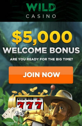 Welcome Bonus Package for UK Players at Wild Casino: $5000