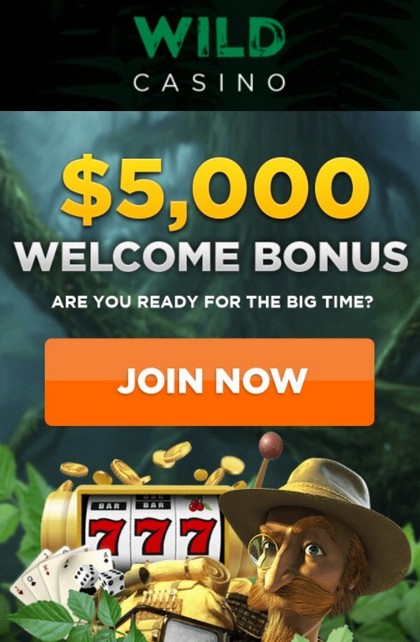 Welcome Bonus Package for UK Players at Wild Casino: $5000
