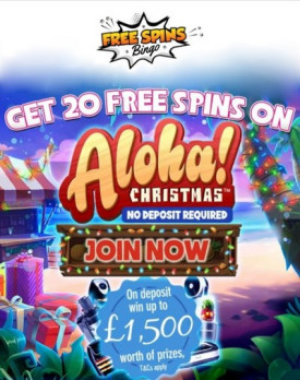 20 Free Spins - No Deposit Bonus at Free Spins Bingo Casino 20 Free Spins - No Deposit Bonus at Free Spins Bingo Casino